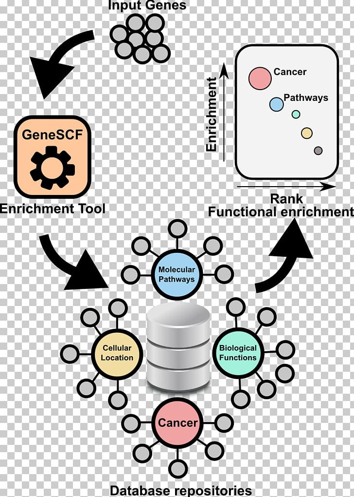 Gene Set Enrichment Analysis Gene Ontology DAVID RNA-Seq PNG, Clipart, Area, Base, Brand, Cluster, Cluster Analysis Free PNG Download