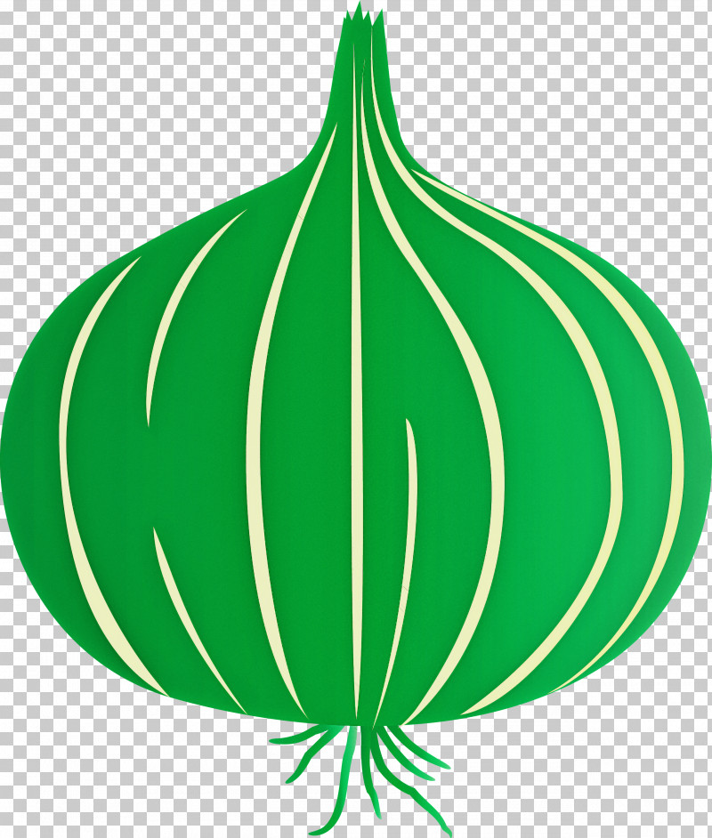 Onion PNG, Clipart, Flower, Fruit, Green, Leaf, Line Free PNG Download