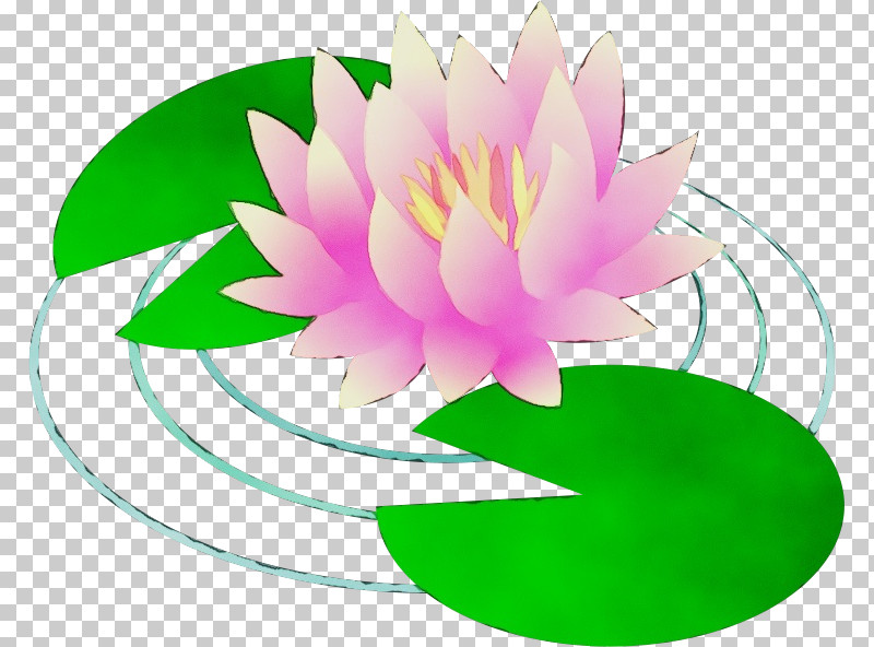 Floral Design PNG, Clipart, Background, Flora, Floral Design, Green, Lotus Flower Free PNG Download