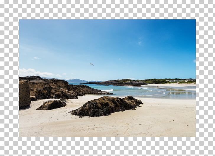 O'Carroll's Cove Beach Bar & Restaurant Shore Ring Of Kerry Campsite PNG, Clipart,  Free PNG Download