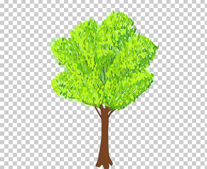 Tree Summer PNG, Clipart, Bing, Blog, Branch, Cartoon, Computer Icons Free PNG Download