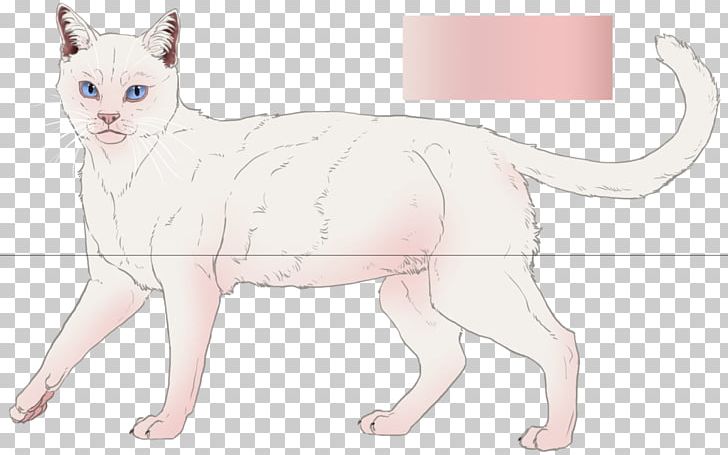 Devon Rex Whiskers Kitten Domestic Short-haired Cat PNG, Clipart, Animals, Artwork, Carnivoran, Cat, Cat Like Mammal Free PNG Download