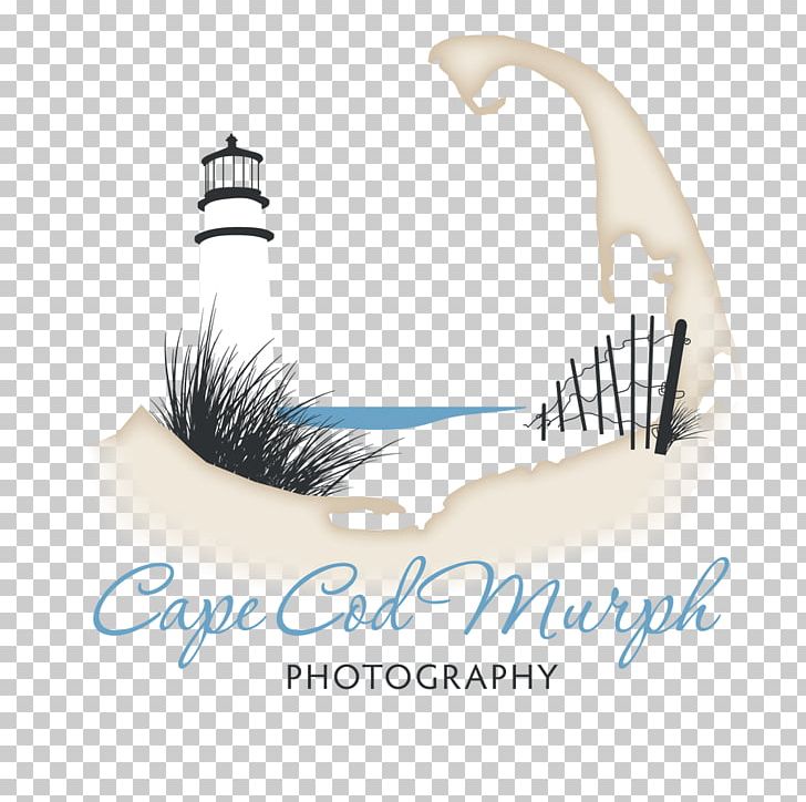 Logo Eyelash Font PNG, Clipart, Art, Cape Cod Ymca, Eyelash, Logo, Text Free PNG Download