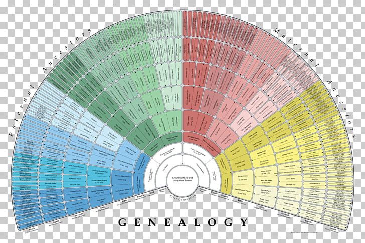 Genealogy Family Tree Pedigree Chart FamilySearch Ancestor PNG, Clipart, Ancestor, Angle, Chart, Circle, Family Free PNG Download