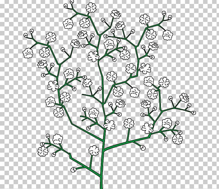 Showy Baby's-breath Floral Design PNG, Clipart,  Free PNG Download
