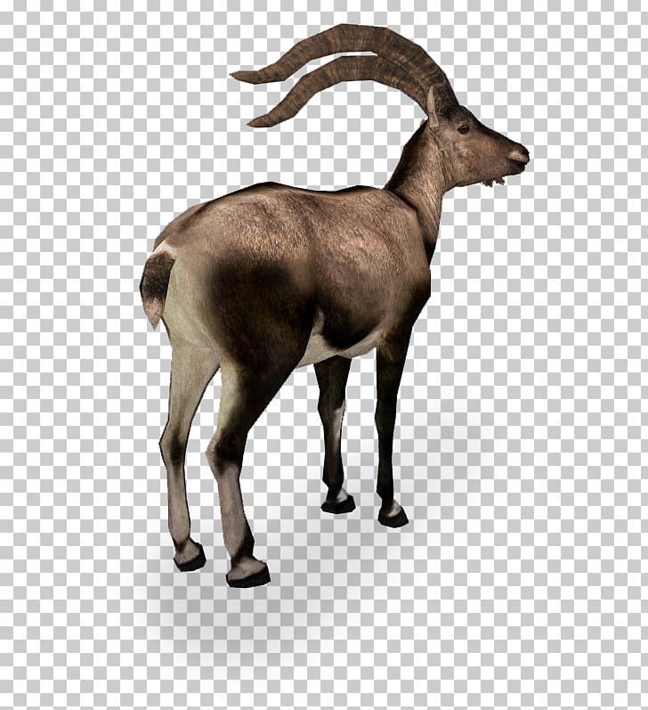 Zoo Tycoon 2 Goat Antelope Deer Pyrenean Ibex PNG, Clipart, Animal, Animals, Antelope, Antler, Caprinae Free PNG Download