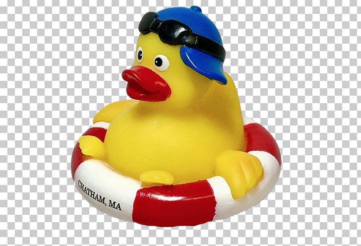Ducks In The Window Rubber Duck Yellow Toy PNG, Clipart, Animals, Bird, Chatham, Duck, Ducks Geese And Swans Free PNG Download