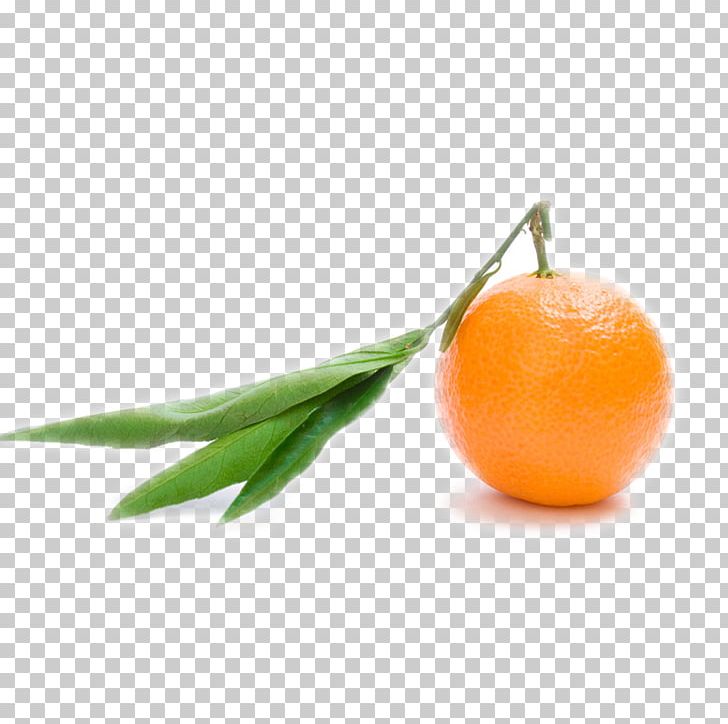 Orange Juice Clementine Orange S.A. Mandarin Orange PNG, Clipart, Citric Acid, Citrus, Clementine, Diet Food, Food Free PNG Download