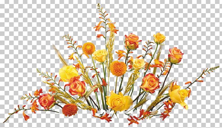 Birthday Flower Bouquet Holiday Daytime PNG, Clipart, Birthday, Branch, Cut Flowers, Daytime, Diploma Free PNG Download