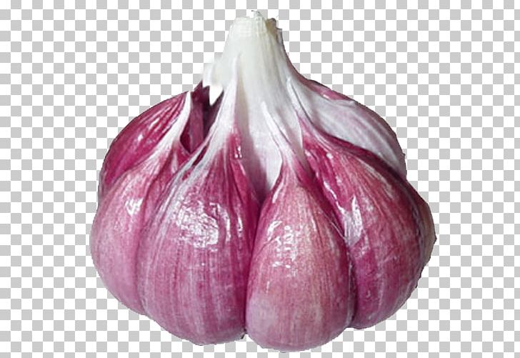 Garlic Shallot Red Onion Bulb Lilies PNG, Clipart, Agriculture, Allium, Bulb, Family, Food Free PNG Download