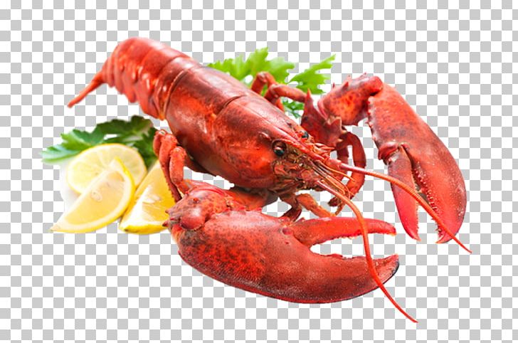 Lobster Seafood Pancake Spanish Cuisine PNG, Clipart, American Lobster, Animals, Animal Source Foods, Cooking, Crab Meat Free PNG Download