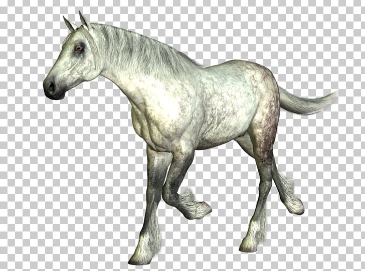 Mustang Foal Stallion Pony Pack Animal PNG, Clipart, Animal, Animal Figure, Blog, Caballo, Fictional Character Free PNG Download