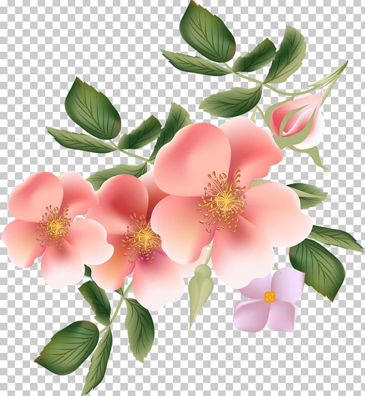 Rose PNG, Clipart, Blossom, Branch, Drawing, Floral Design, Flower Free PNG Download
