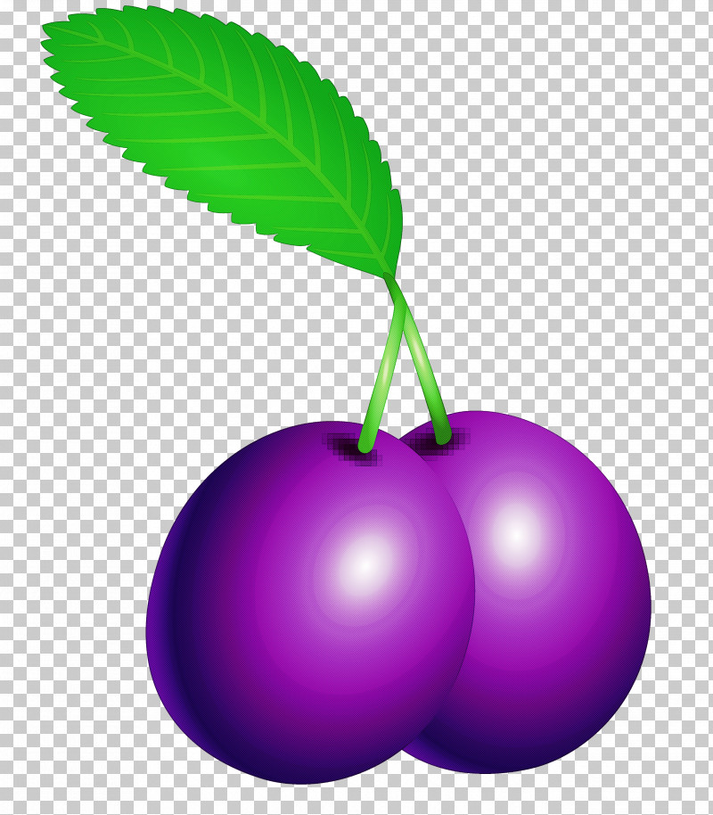 Prune Fruit PNG, Clipart, Berry, Cherry, European Plum, Flower, Food Free PNG Download