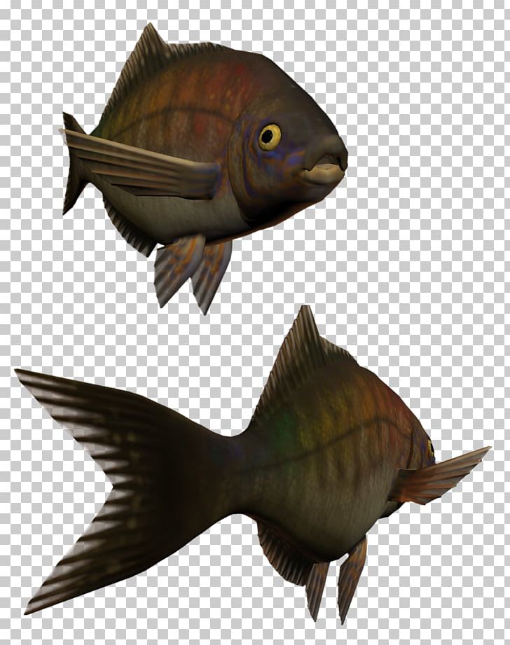 Fish Kipper Fauna Hors D'oeuvre PNG, Clipart,  Free PNG Download