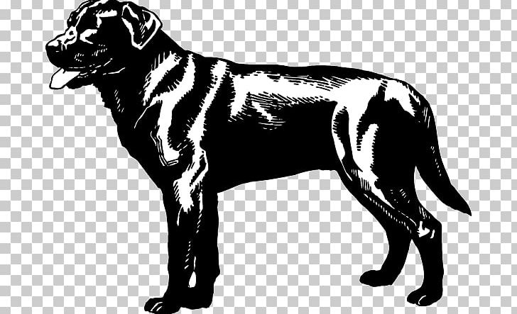 Great Dane Dog Breed Labrador Retriever Golden Retriever Rottweiler PNG, Clipart, Animals, Big Cats, Black, Black , Breed Group Dog Free PNG Download