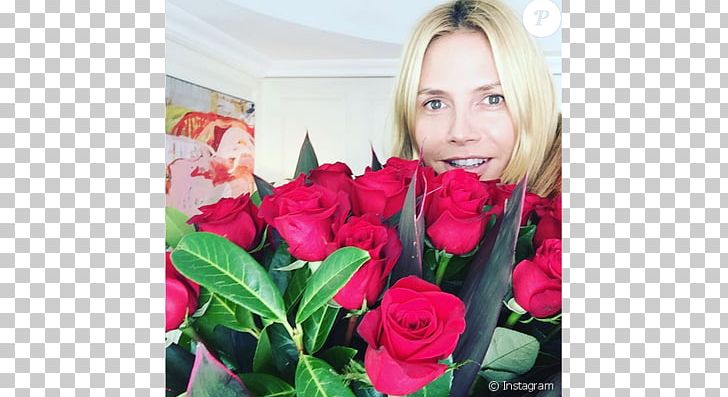 Heidi Klum Garden Roses Model Fashion Designer Celebrity PNG, Clipart, Celebrities, Celebrity, Cut Flowers, Fashion Design, Flora Free PNG Download