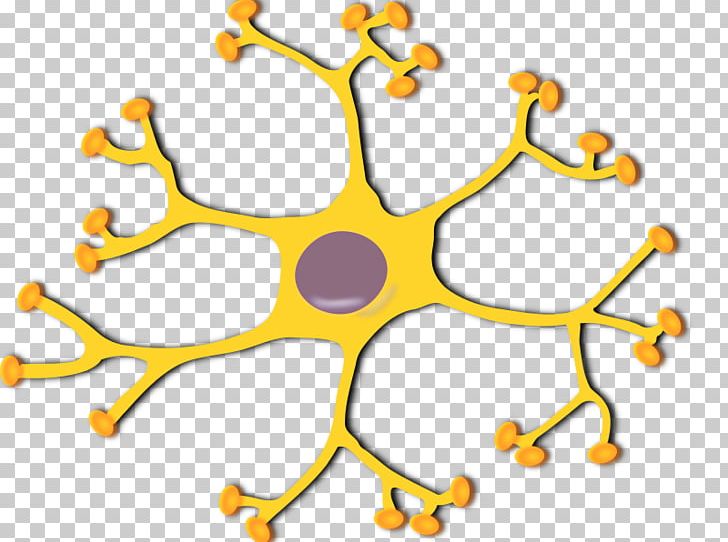 Neuron Nervous System Dendrite Soma PNG, Clipart, Area, Artificial Neural Network, Biology, Body Jewelry, Dendrite Free PNG Download