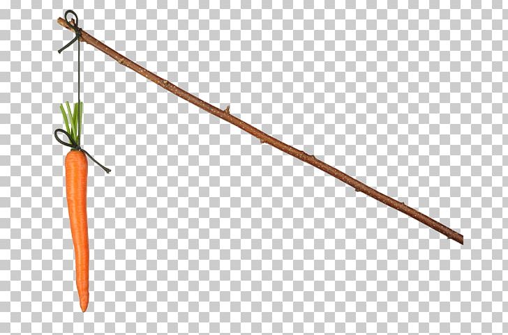 Carrot And Stick Stock Photography Shutterstock PNG, Clipart, Baby Carrot, Branch, Carrot, Carrot And Stick, Carrot Juice Free PNG Download