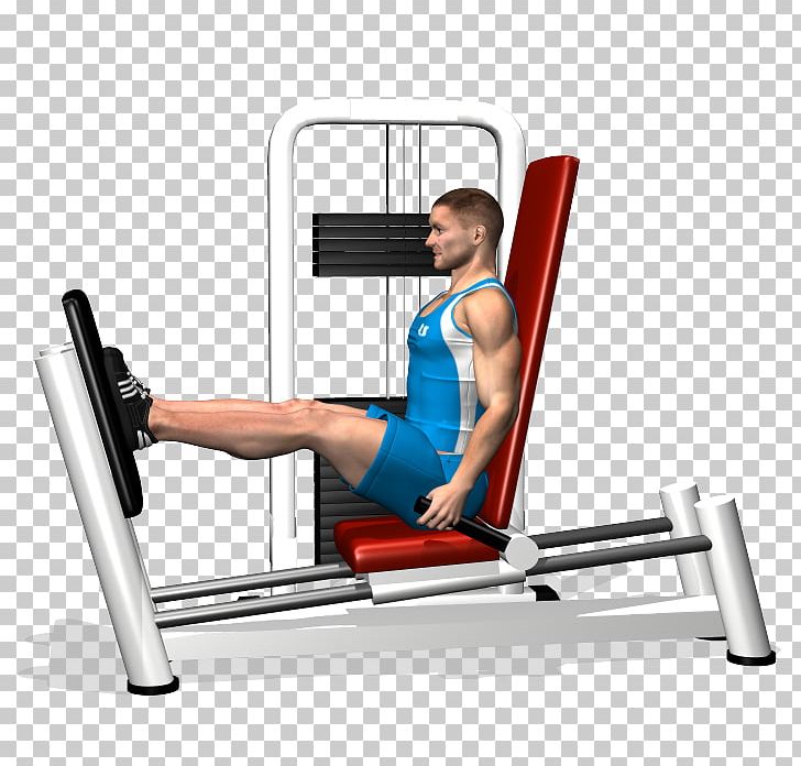 Leg Press Human Leg Muscle Calf Raises Squat PNG, Clipart, Abdomen, Arm, Bench, Biceps Femoris Muscle, Calf Free PNG Download