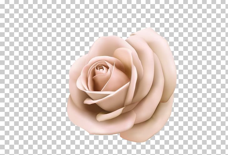 Rose Pink Poster Stock Photography PNG, Clipart, Color, Cut Flowers, Flower, Flowers, Garden Roses Free PNG Download