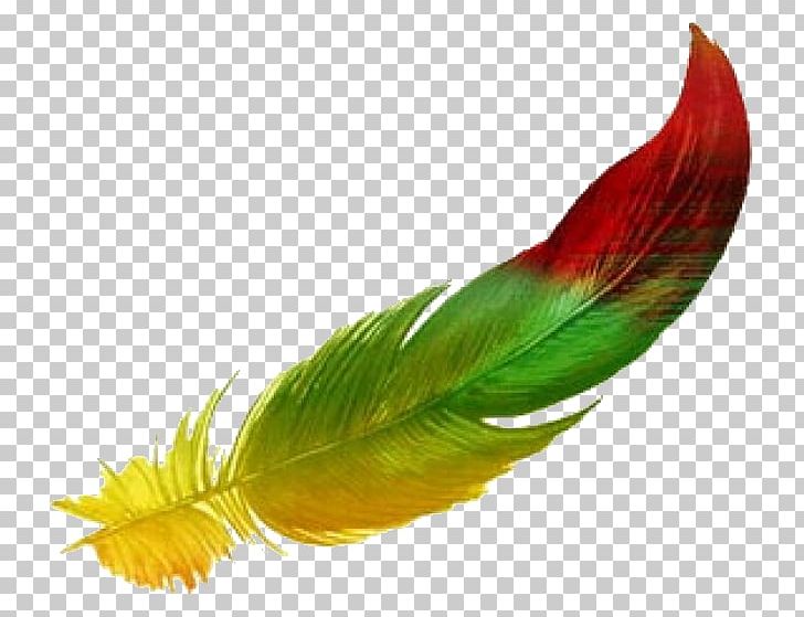 The Floating Feather Drawing Watercolor Painting PNG, Clipart, Animals, Beak, Bird Collections, Drawing, Feather Free PNG Download