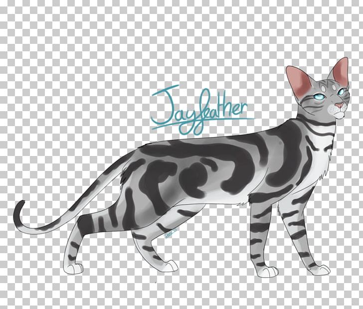 American Shorthair American Wirehair California Spangled Bengal Cat European Shorthair PNG, Clipart, American Wirehair, Animals, Asian, Bengal, Bengal Cat Free PNG Download