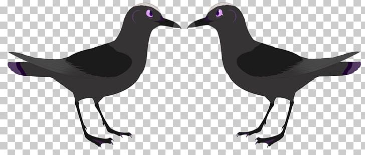 Eurasian Magpie Silhouette Beak PNG, Clipart, Animals, Beak, Bird, Crow, Crow Like Bird Free PNG Download