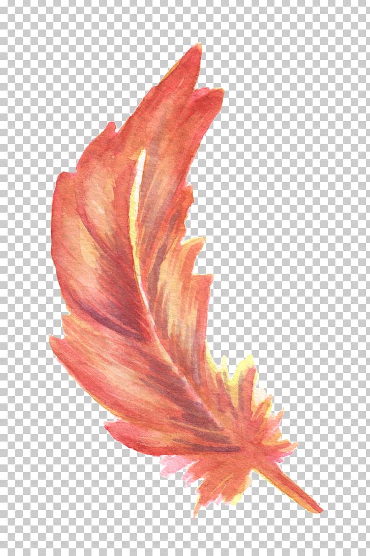 Feather Drawing Watercolor Painting PNG, Clipart, Animal, Animal Feather, Animals, Colored, Colored Feathers Free PNG Download