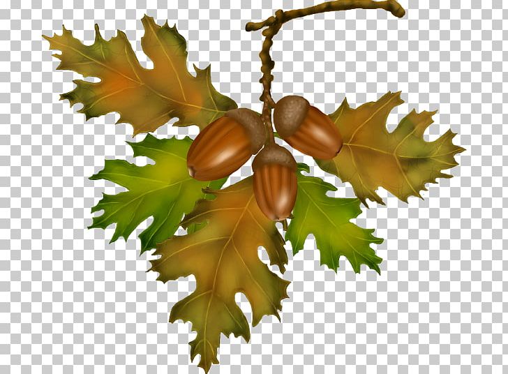 Advertising Tree RAR PNG, Clipart, 2018, Advertising, Autumn, Food, Fruit Free PNG Download