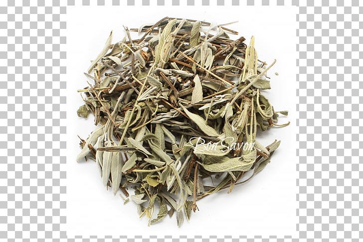 Darjeeling Tea White Tea Nilgiri Tea Mein Teekontor PNG, Clipart, Assam Tea, Baihao Yinzhen, Bai Mudan, Bancha, Biluochun Free PNG Download