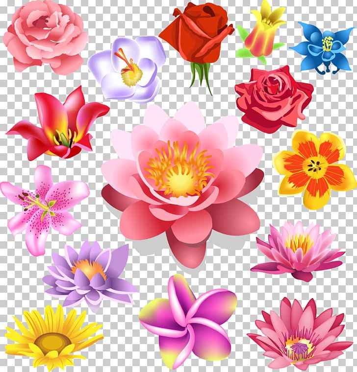 Flower Poinsettia Stock Photography PNG, Clipart, Annual Plant, Aquatic Plant, Cut Flowers, Dahlia, Decal Free PNG Download