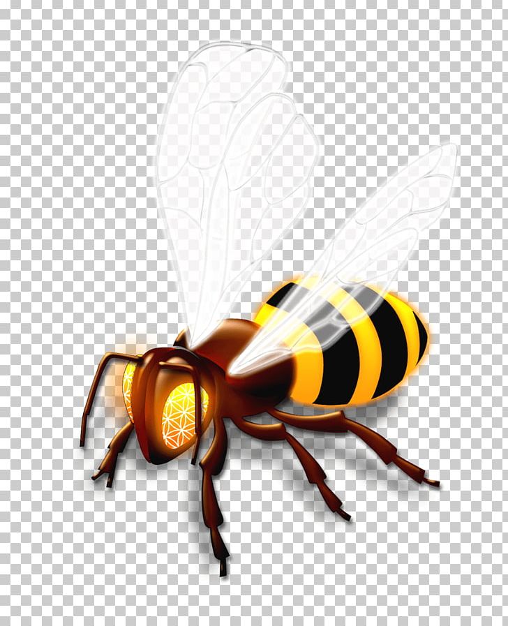 Honey Bee Hornet Wasp PNG, Clipart, Arthropod, Bee, Fly, Honey, Honey Bee Free PNG Download