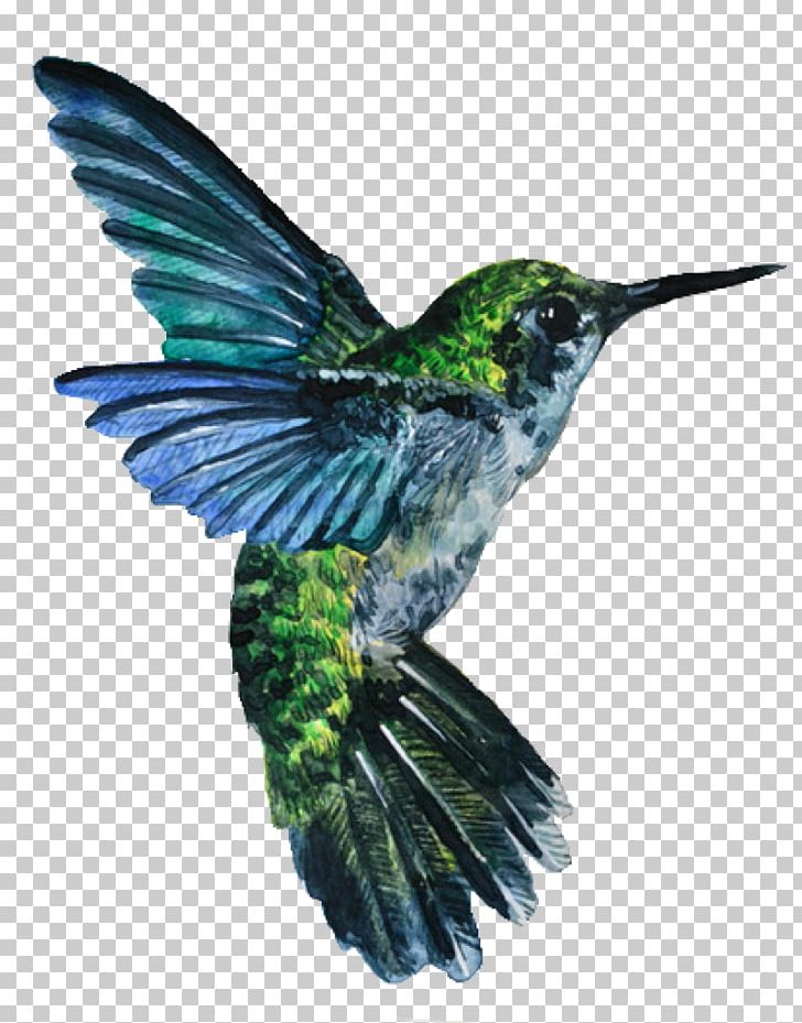 Hummingbird Watercolor Painting Drawing PNG, Clipart, Animals, Art, Beak, Bird, Deviantart Free PNG Download