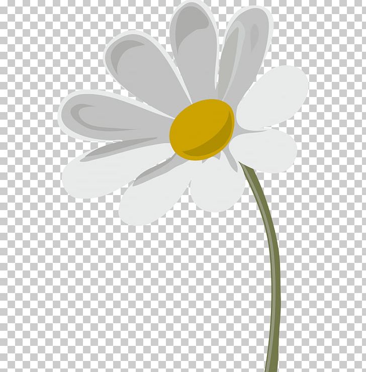 Oxeye Daisy Chamomile Advertising Petal PNG, Clipart, 2017, Advertising, Camomile, Chamomile, Daisy Free PNG Download