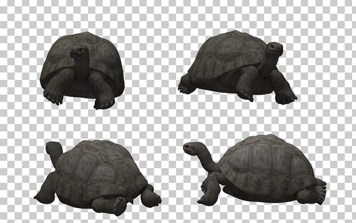 Tortoise Reptile Turtle Animal 3D Modeling PNG, Clipart, 3d Computer Graphics, 3d Modeling, Animal, Animals, Art Free PNG Download