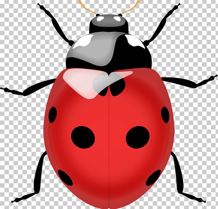 Beetle Ladybird Lady Bug Realtors Edrina Fitting PNG, Clipart, Backpacking, Beetle, Bugs, Clip Art, Computer Icons Free PNG Download