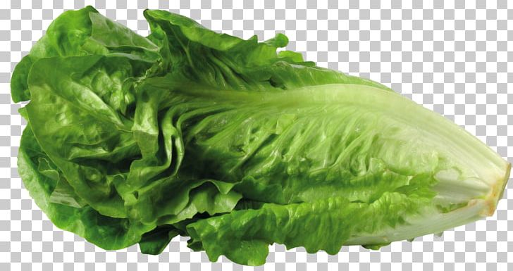 Butterhead Lettuce Greek Salad PNG, Clipart, Butterhead Lettuce, Cabbage, Chard, Download, Food Free PNG Download