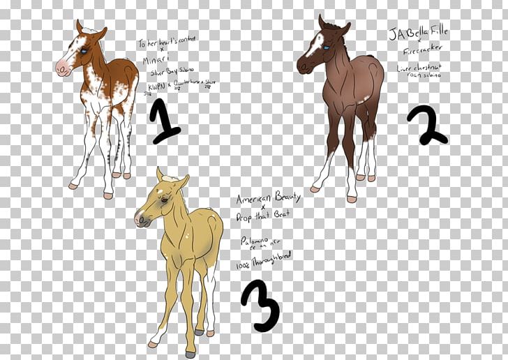 Foal Mustang Colt Donkey Deer PNG, Clipart, Animal, Animal Figure, Antelope, Cartoon, Colt Free PNG Download