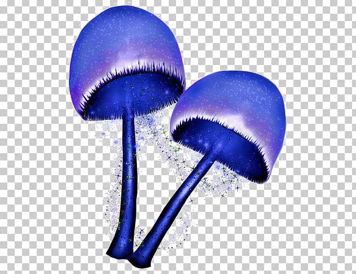 Mushroom Fruit PNG, Clipart, Albom, Blue, Cartoon, Drawn, Electric Blue Free PNG Download