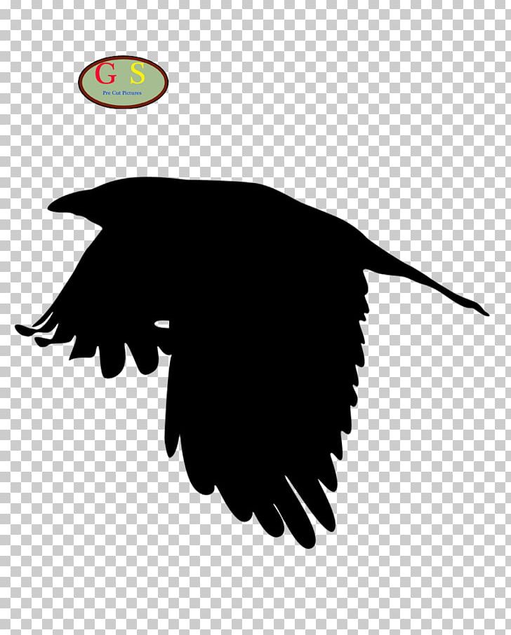 Red-winged Blackbird The Electricity Of Every Living Thing: One Woman’s Walk With Asperger’s Crow Common Blackbird PNG, Clipart, Animals, B B R C, Beak, Bird, Bird Of Prey Free PNG Download