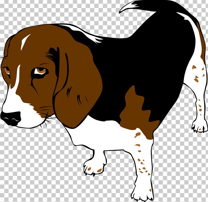 Beagle Puppy Mans Best Friend PNG, Clipart, Animal, Animal Cliparts, Beagle, Best Friend, Carnivoran Free PNG Download