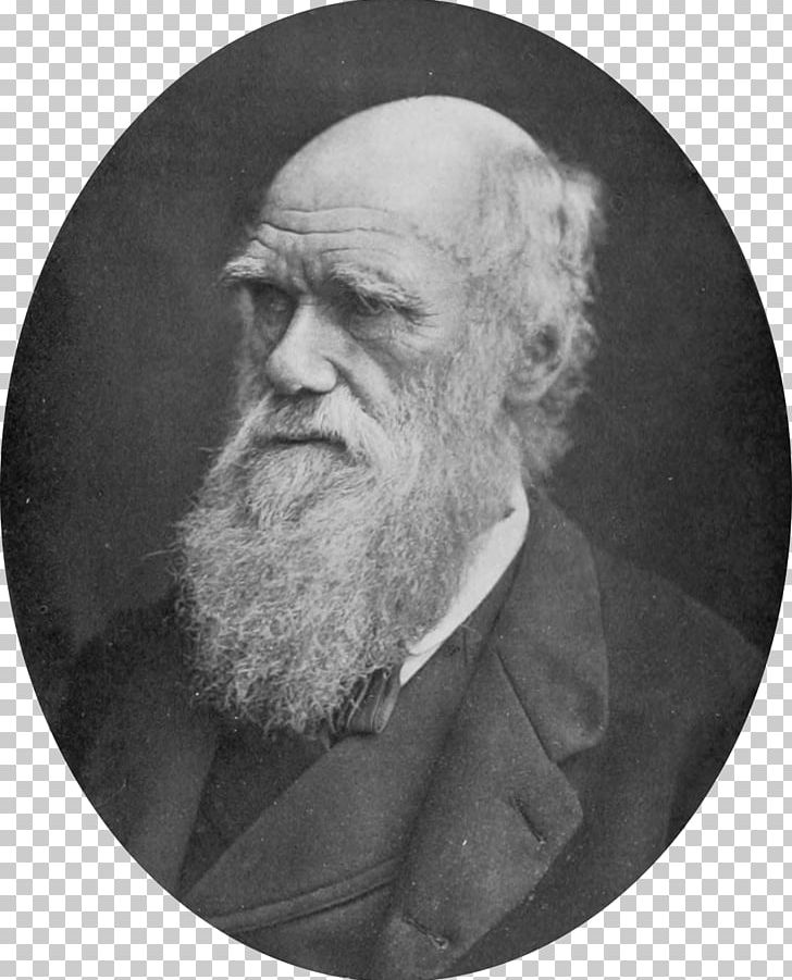 Charles Darwin On The Origin Of Species The Voyage Of The Beagle Evolution Scientist PNG, Clipart, Beard, Black And White, Charles, Darwin, Darwinism Free PNG Download