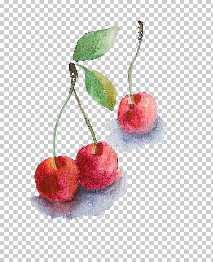 Clafoutis Watercolor Painting Cherry Drawing PNG, Clipart, Creative Design, Food, Fruit, Fruit Nut, Graphic Free PNG Download