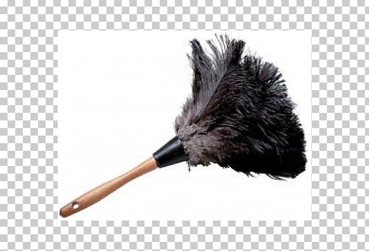Feather Duster Mop Cleaning PNG, Clipart, Cleaning, Cleaning Agent, Dirt, Dirt Devil, Dust Free PNG Download