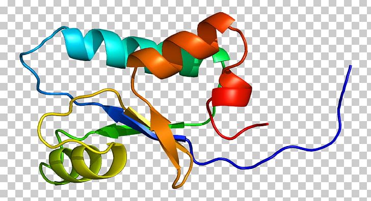 GeneCards Protein SH3 Domain Human Genome PNG, Clipart, Antibody, Area, Artwork, Bind, Ensembl Free PNG Download