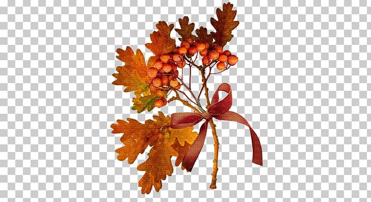 Autumn Blog Diary LiveInternet PNG, Clipart, Autumn, Blog, Branch, Daytime, Diary Free PNG Download