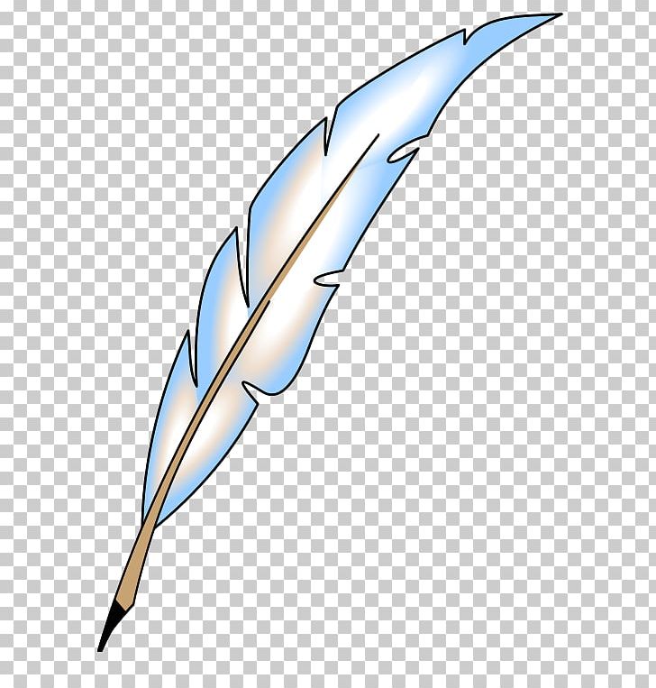 Eagle Feather Law PNG, Clipart, Animals, Beak, Download, Drawing, Eagle Feather Law Free PNG Download
