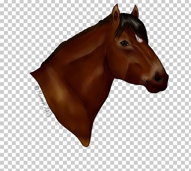 Mane Mustang Stallion Halter Colt PNG, Clipart, Bridle, Chestnut, Colt, Ear, Ford Mustang Free PNG Download