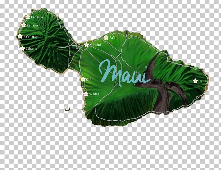 Maui Lanikai Beach Kauai House Vacation Rental PNG, Clipart, Beach, Beach House, Hawaii, Hawaii Island, Highdefinition Television Free PNG Download